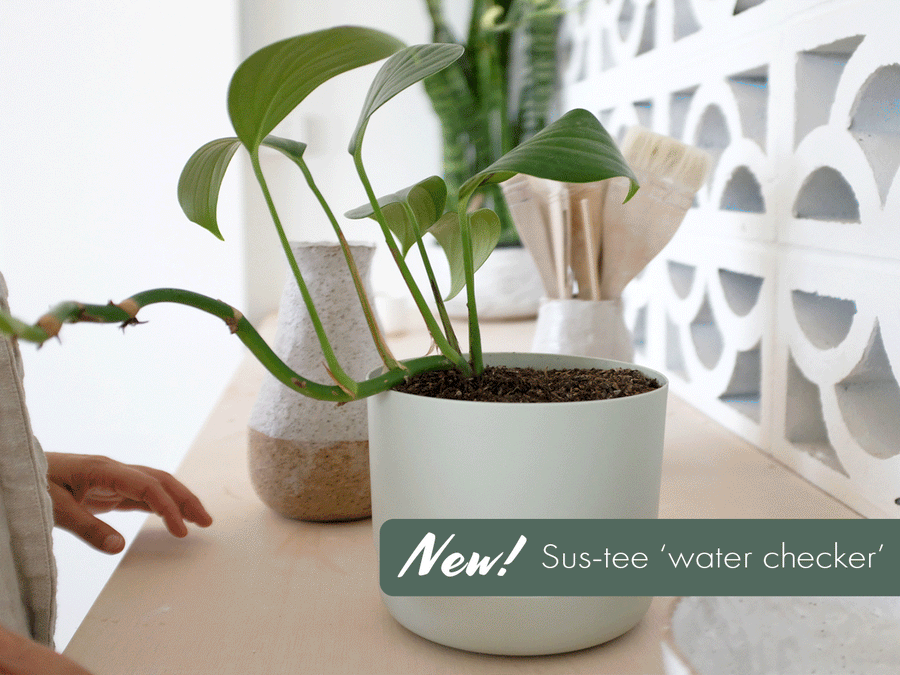 Images showing the steps on how to use a Sustee Moisture Meter