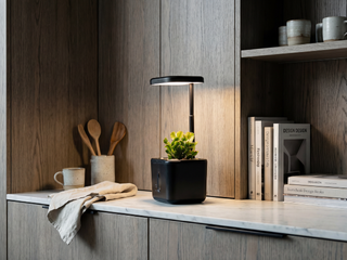 Smart Pot – LED Grow Light & Self-Watering Planter Only