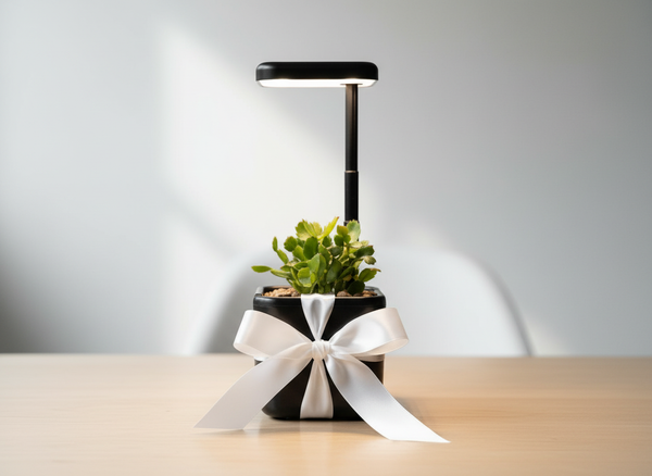 Indoor Smart Garden Gift with White Ribbon
