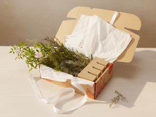 Birds and Bees 🐝  Gift Box - Includes Gift Wrapping & Card